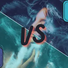 Ps vs Lr. Wybór między Photoshopem a Lightroomem z licencją wieczystą.