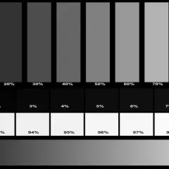Paski szarości od 0% do 100% pomagają ocenić, jak skalibrować monitor do obróbki zdjęć, zapewniając dokładne odwzorowanie barw.
