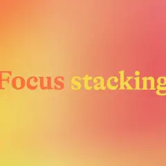 Napis "Focus stacking" na tle gradientu od pomarańczowego do różowego. Technika ta pozwala uzyskać ostrość na całym kadrze.