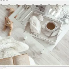 Kociak na kocu, filiżanka herbaty i książka. Edytowane w darmowym Photoshopie, czyli GIMP.
