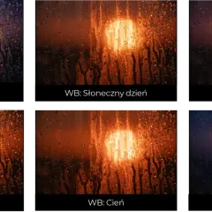 Jak zrobić zdjęcie? Opanuj światło, kompozycję i ostrość!
