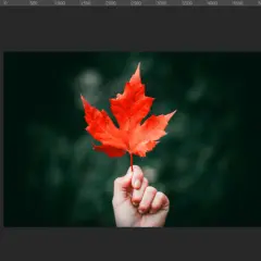 Zmień kolor w Photoshopie: 5 metod, które musisz znać