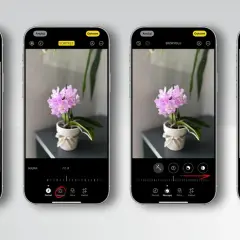 Cztery ekrany telefonu pokazujące edycję zdjęcia kwiatów w trybie portretowym. Fotografia mobilna w akcji.