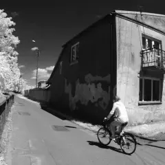 Osoba na rowerze jedzie ulicą. Białe drzewa i budynki kontrastują z ciemnym niebem. Niezwykła fotografia w podczerwieni.
