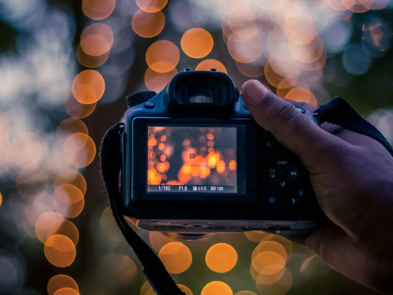 Portrait photo bokeh effect 50mm f1.8