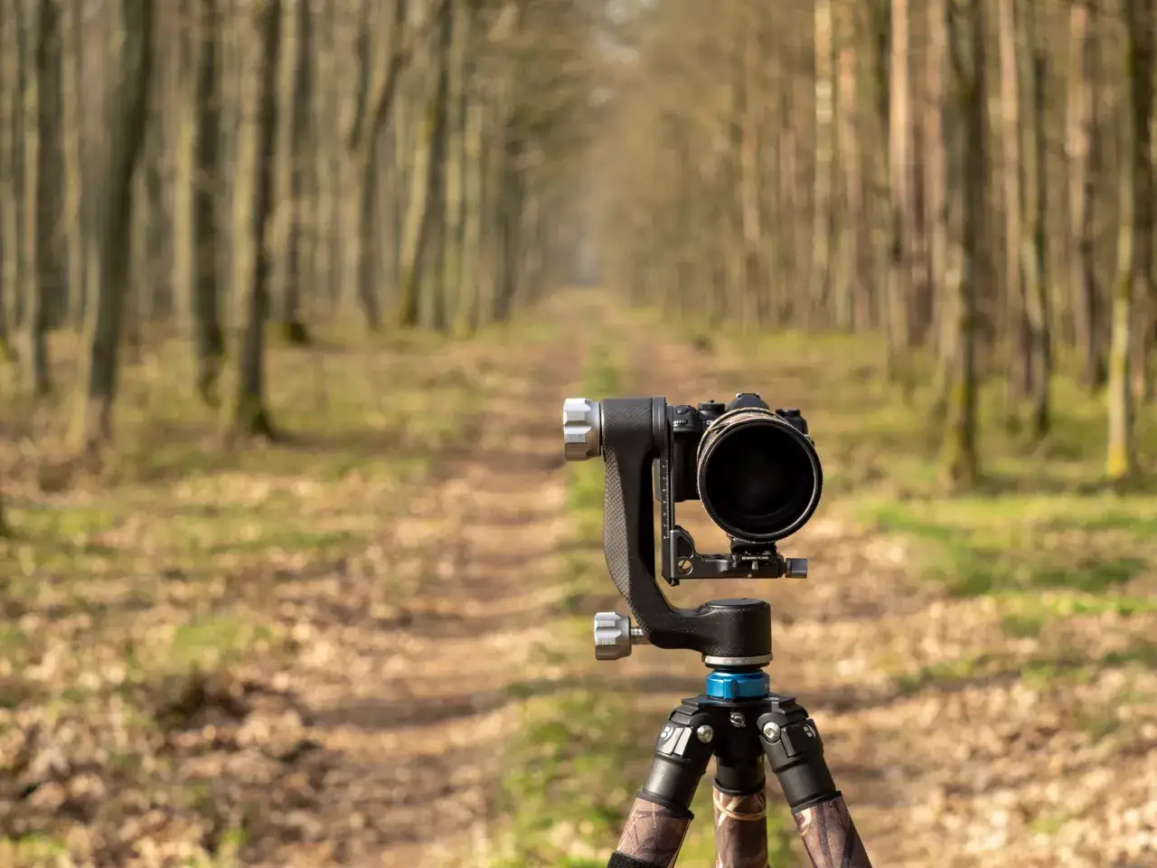 Aparat fotograficzny w plenerze, fotografia dzikiej przyrody