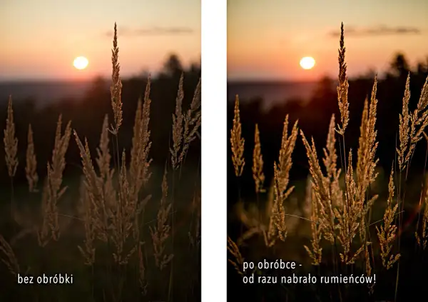 Trawa w złotej godzinie, przed i po obróbce. Słońce nisko nad horyzontem, złote promienie oświetlają kłosy.