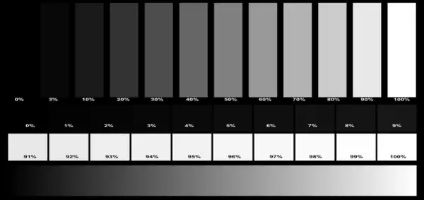Paski szarości od 0% do 100% pomagają ocenić, jak skalibrować monitor do obróbki zdjęć, zapewniając dokładne odwzorowanie barw.