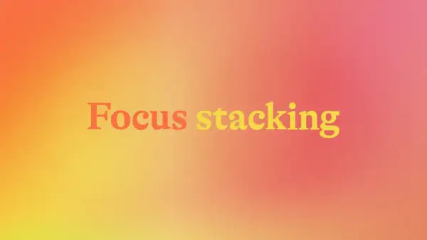 Napis "Focus stacking" na tle gradientu od pomarańczowego do różowego. Technika ta pozwala uzyskać ostrość na całym kadrze.