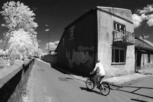 Osoba na rowerze jedzie ulicą. Białe drzewa i budynki kontrastują z ciemnym niebem. Niezwykła fotografia w podczerwieni.
